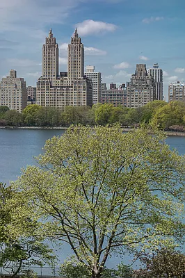 Sold by Brown Harris Stevens | media 7