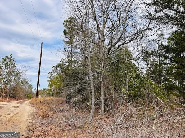 0 Mason Ln, Butler, GA 31006