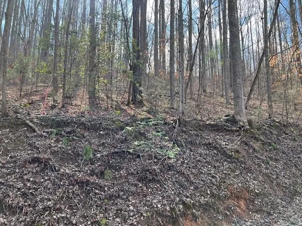 3 Grey Fox Run Lot 3, Sevierville, TN 37862