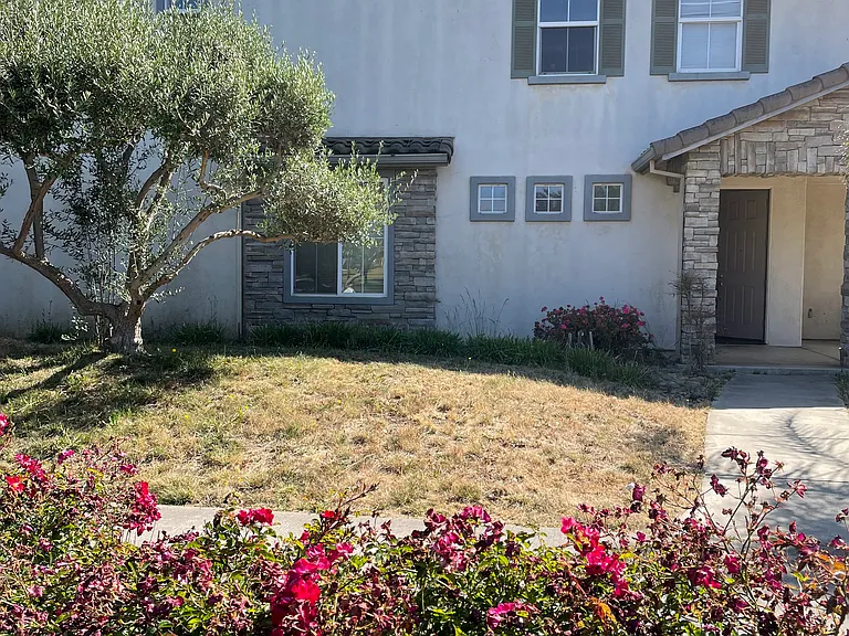 1136 Verona Way — Photo 51