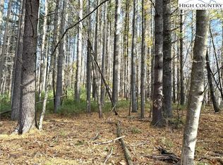 Jr Dairy Rd, Ennice, NC 28623