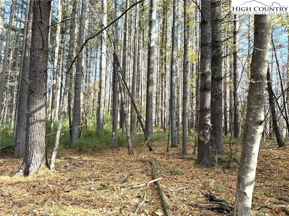 TBD Jr Dairy Road, Ennice, NC 28623