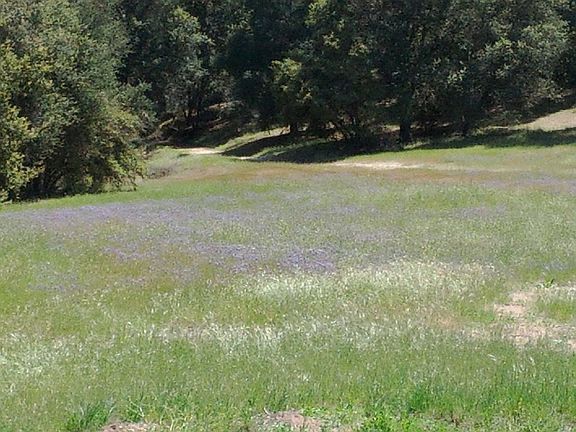 3rd image of 4050 Stagecoach Canyon Rd