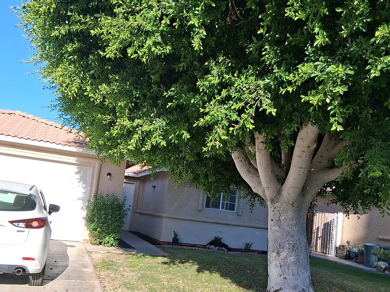 51420 Avenida Velasco — Photo 2