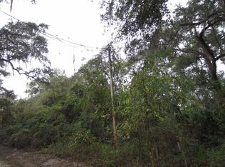 18100 NE 24th Ave, Citra, FL 32113