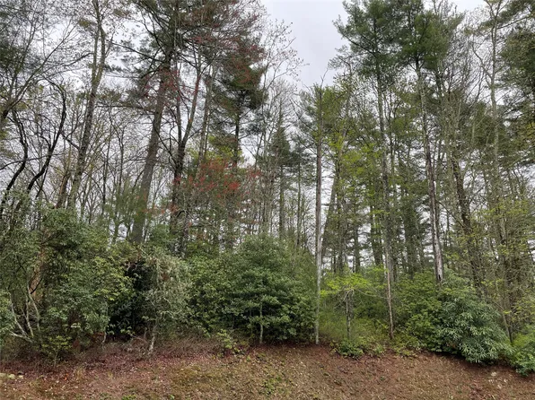 Lot G- Bailey Lane, Sapphire, NC 28774