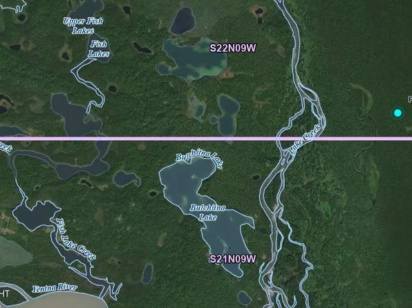 23864 Lake Crk, Skwentna, AK 99667