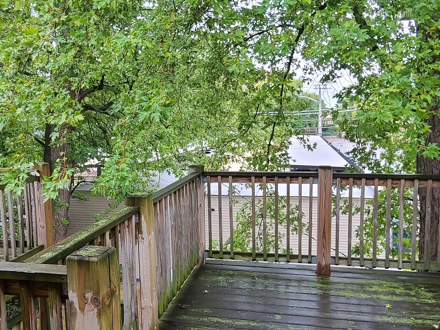 3 bed, 1500 sqft, $3,280 — Photo 3
