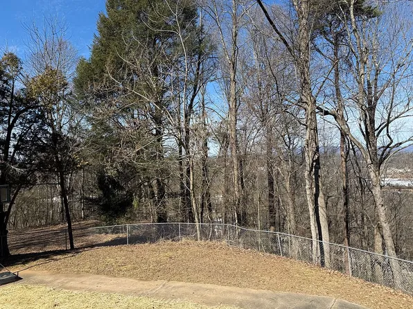 466 Hefner St, Ellijay, GA 30540