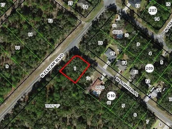 2460 W Summer Pl #1, Dunnellon, FL 34434