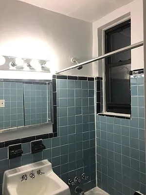 Rented by Eric Goodman Realty Corp | media 6