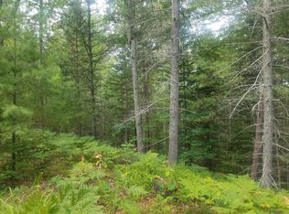 Big Sky Trl, Indian River, MI 49749