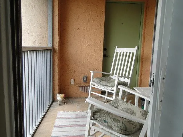 Sun room
