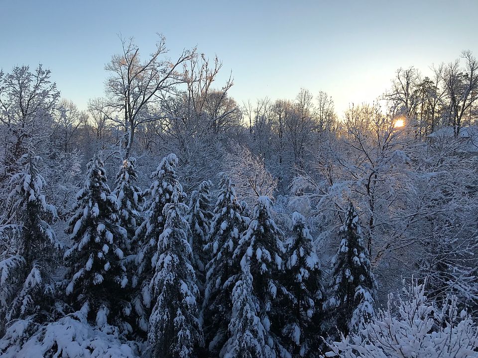 View from Deck