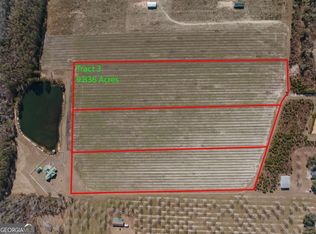 0 Lake Mayers Rd TRACT 3, Baxley, GA 31513