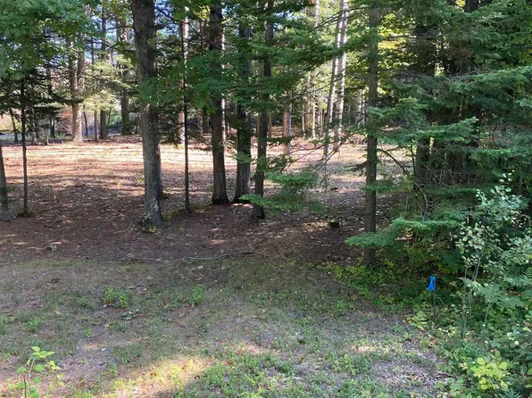 LOT 11 Joe Marks Trl, Kewadin, MI 49648