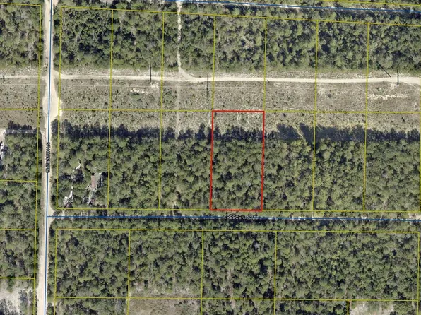 11 Crescent Dr, Defuniak Springs, FL 32435