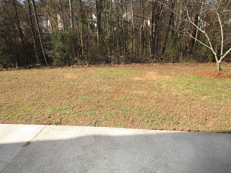 2325 Carlysle Cove Dr — Photo 14