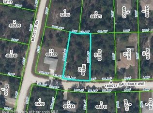 11249 Gallinule Ave, Weeki Wachee, FL 34613