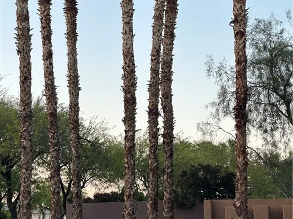 800 Peachy Canyon Cir Unit 203, Las Vegas, NV 89144