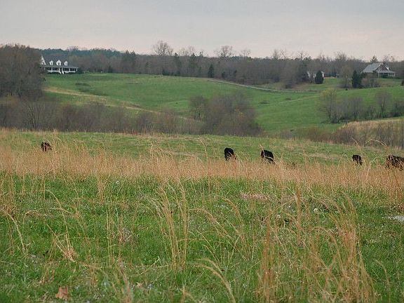 160.95 Acre Farm