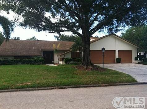 Beautiful Front yard with great oak tree and palms