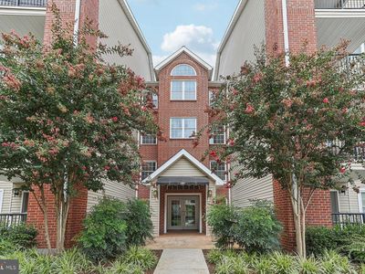 3307 Wyndham Cir APT 4159, Alexandria, VA, 22302