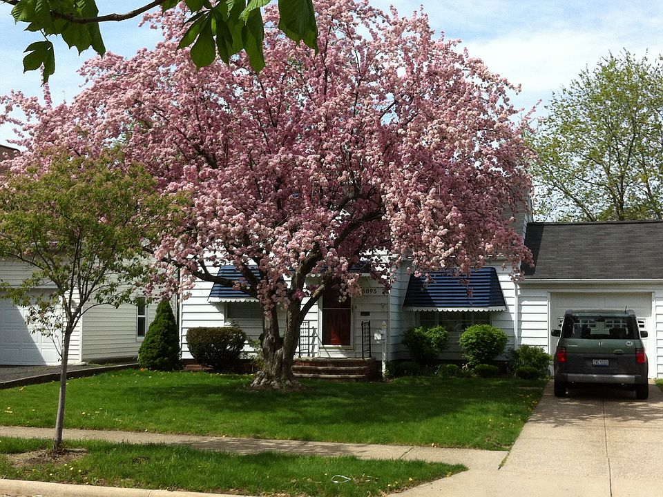 1st image of 5095 Haverford Dr