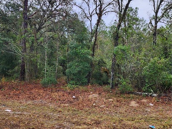 3rd image of 7360 W Dunnellon Rd