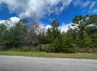 0 Fisher Trl #16, Ocklawaha, FL 32179