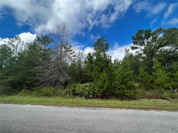 00 FISHER TRAIL LOT 16, OCKLAWAHA, FL 32179
