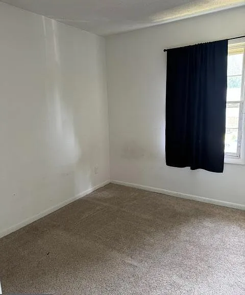 237 Cameron St — Photo 11