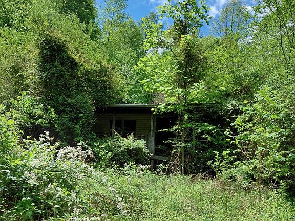 2nd image of 803 Hall Branch Rd