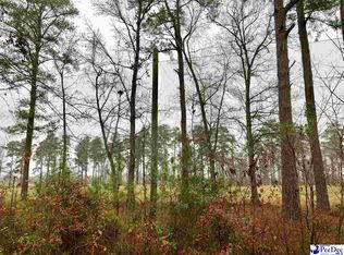 730 Caledonia Ct, Florence, SC 29501