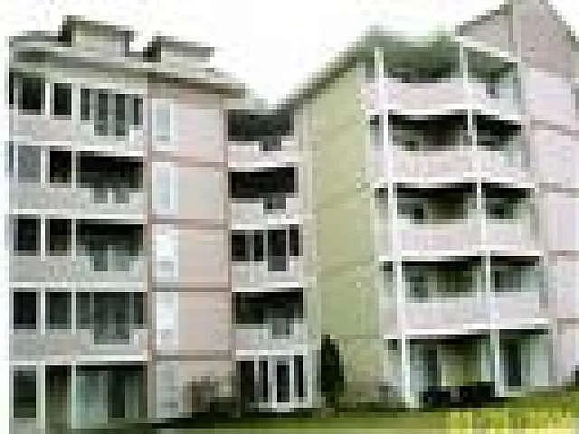 21 Marina Point Dr photo 1