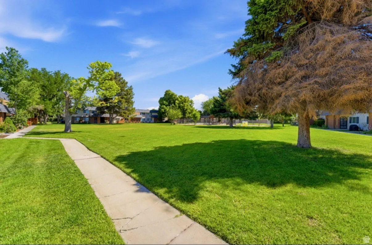1 bed, 750 sqft, $1,250 — Photo 2