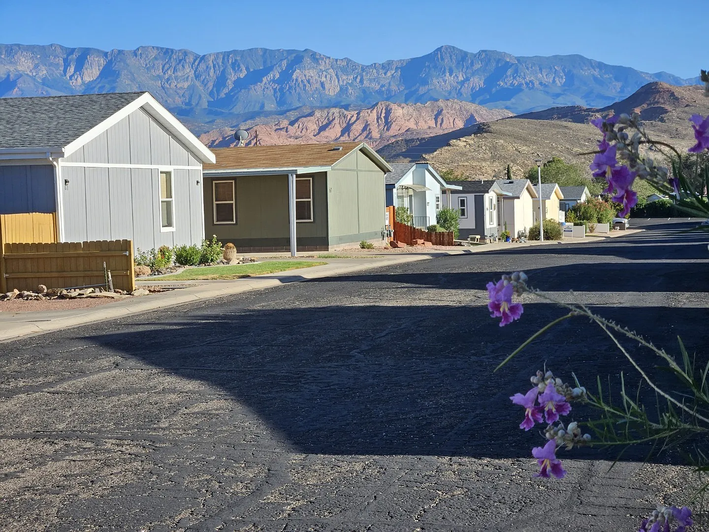 4 bed, 1575 sqft, $1,545 — Photo 3
