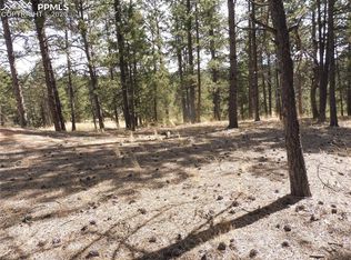 156 Fossil Creek Rd, Florissant, CO 80816