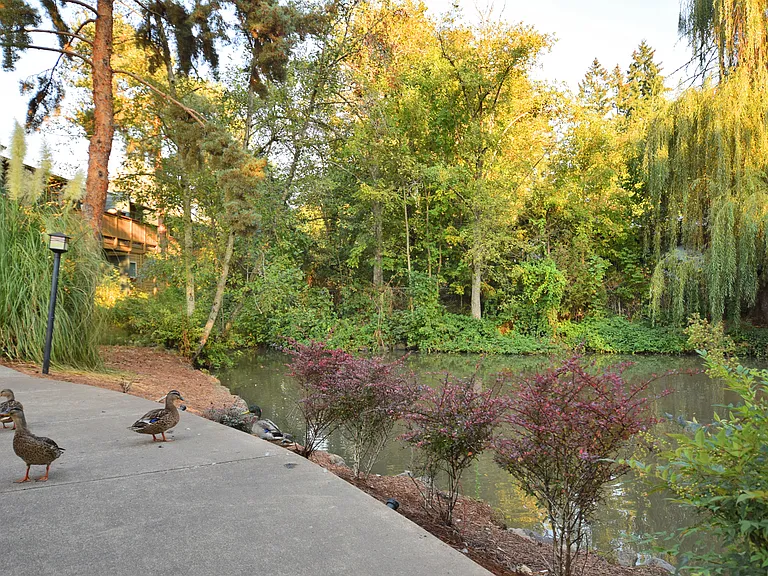 Gardenbrook Apartments — Photo 43