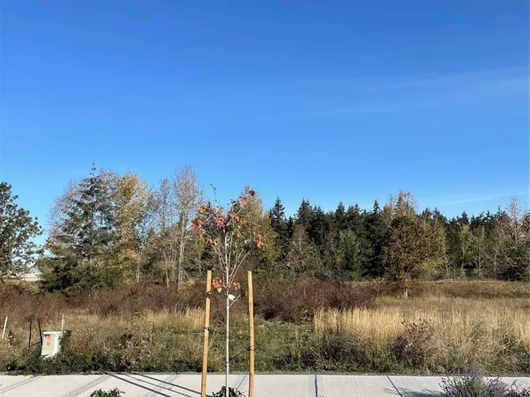 9999 McCurdy Road Lot 3, Sequim, WA 98382