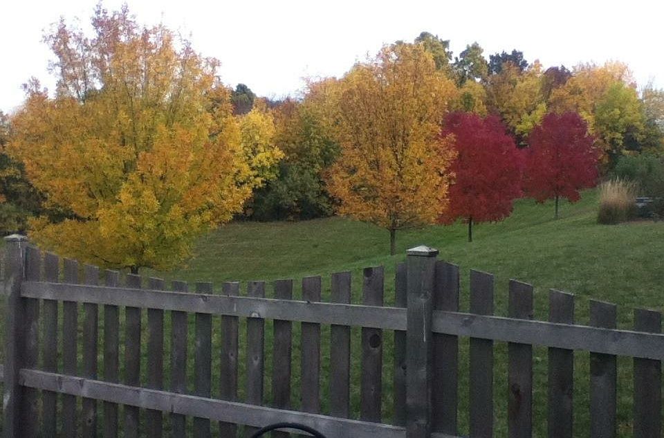 2nd image of 25 W Old Mill Trl