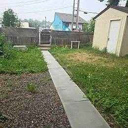 62 Machar Ave — Photo 2