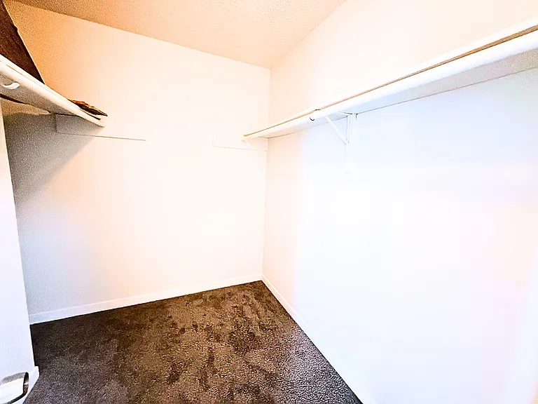 10527 Perrin Beitel Rd #D207 — Photo 8