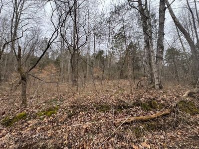 0 O'Lick Creek Rd #O, Lyles, TN, 37098