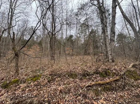 0 O'Lick Creek Rd #O, Lyles, TN 37098