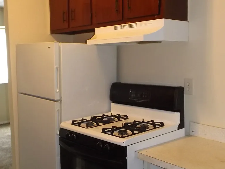 841 Silver Meadows Blvd — Photo 11