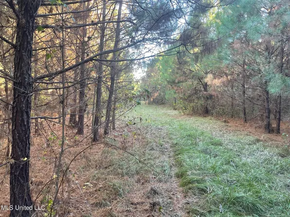 0 Highway 19 N, Collinsville, MS 39325