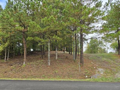 0 Old Alabama Rd SW, Mc Donald, TN, 37353