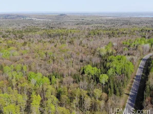 Tbdfg Dogpatch Rd Lot F, Lanse, MI 49946