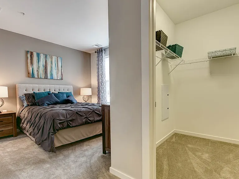 Bedroom with walk-in Closet